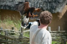 Поход в Данию с ребенком, палаткой и на самолете!