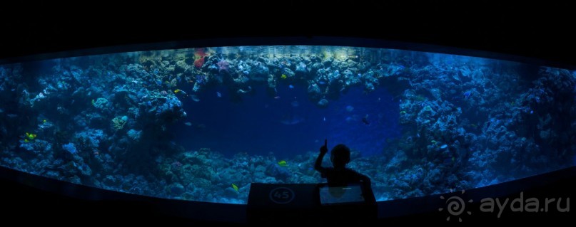 Поход в Данию с ребенком, палаткой и на самолете!