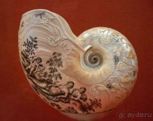 Поход в Данию с ребенком, палаткой и на самолете!