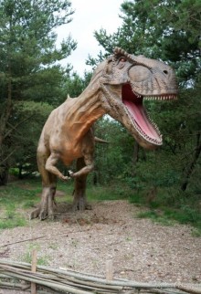 Поход в Данию с ребенком, палаткой и на самолете!