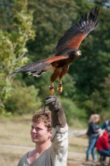 Поход в Данию с ребенком, палаткой и на самолете!