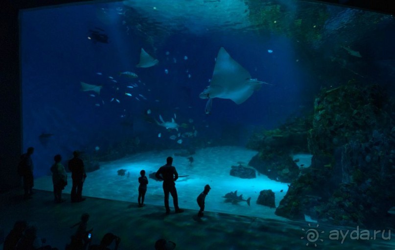 Поход в Данию с ребенком, палаткой и на самолете!