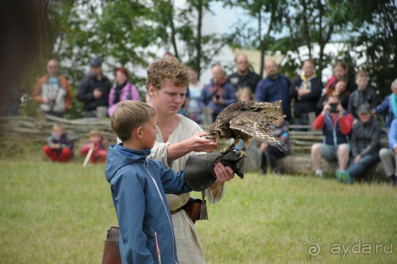 Поход в Данию с ребенком, палаткой и на самолете!
