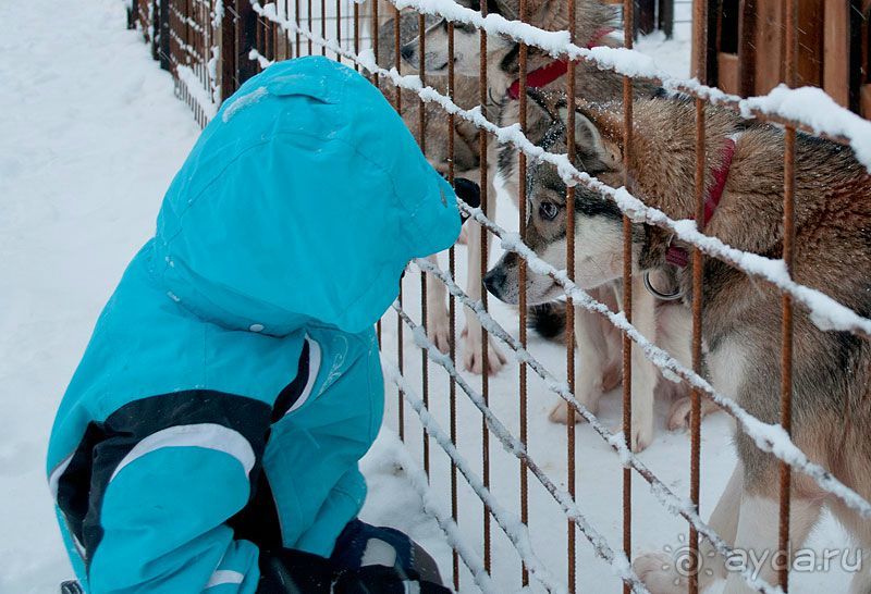 Чудесная сказка в Лапландии