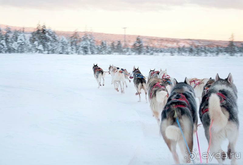 Чудесная сказка в Лапландии