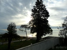 Прекрасный новый год в Жемчужине!!!!