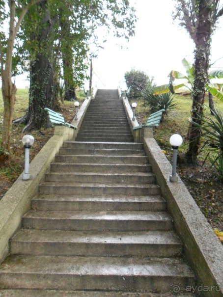 Прекрасный новый год в Жемчужине!!!!