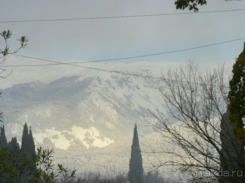 Прекрасный новый год в Жемчужине!!!!