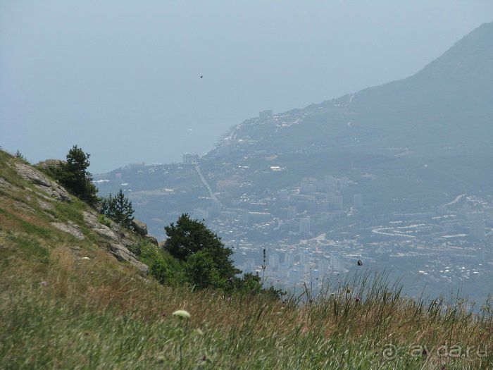 Отдых в Профессорском уголке у Вики