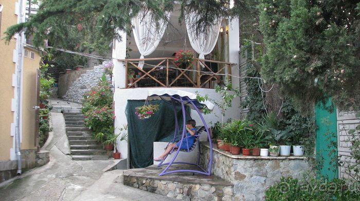 Отдых в Профессорском уголке у Вики