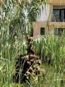 фото Secrets Mallorca Villamil Resort & Spa