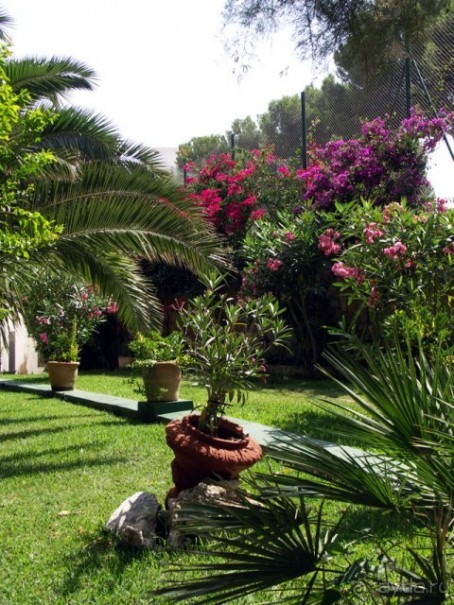 фото Grand Fiesta