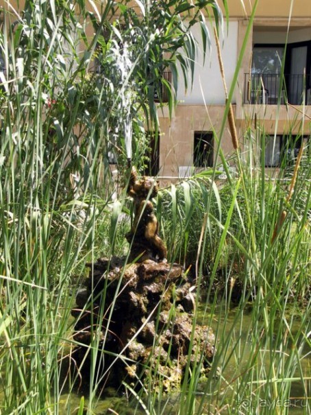 фото Grand Fiesta