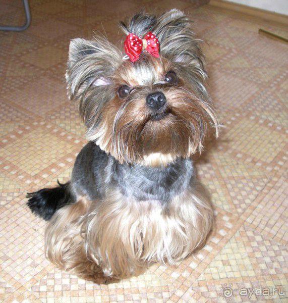 Отзывчивая гостиница