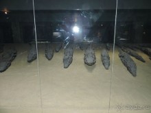 Самостоятельное путешествие по Египту