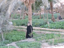 Самостоятельное путешествие по Египту