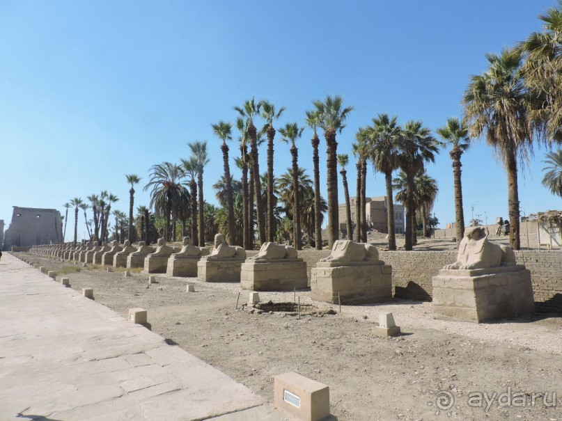 Самостоятельное путешествие по Египту