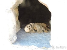 Авто путешествие по России. 6 часть общего путешествия.