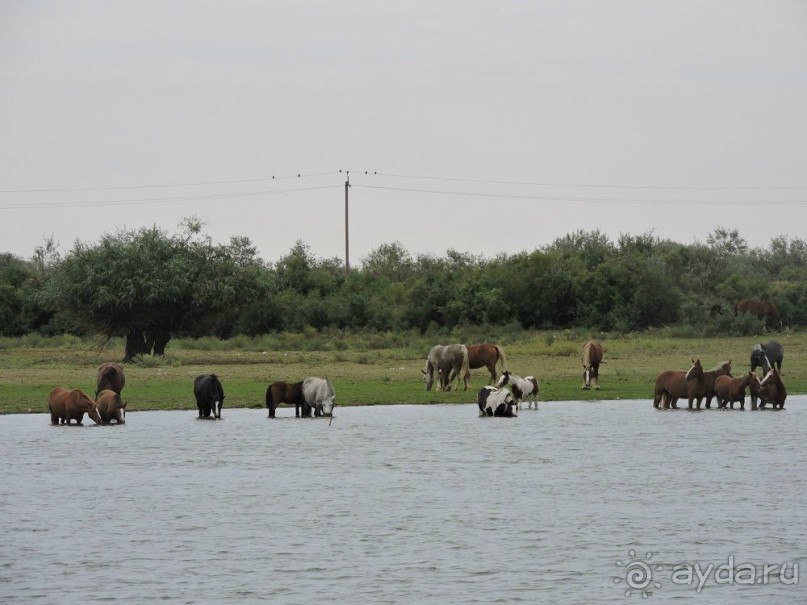 Авто путешествие по России. 6 часть общего путешествия.