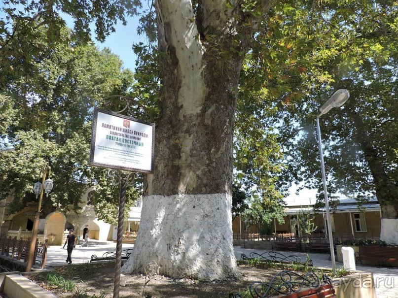 Авто путешествие по России. 6 часть общего путешествия.