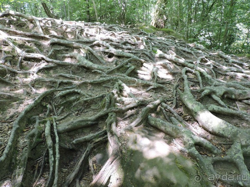 Авто путешествие по Краснодарскому краю. 1 часть общего путешествия.