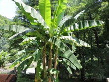 Авто путешествие по Краснодарскому краю. 1 часть общего путешествия.