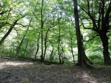 Авто путешествие по Краснодарскому краю. 1 часть общего путешествия.