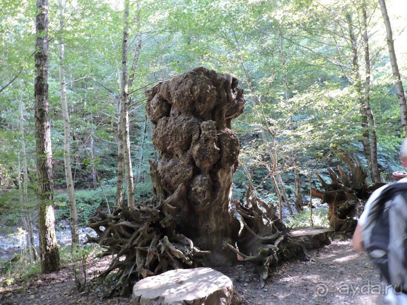 Авто путешествие по Краснодарскому краю. 1 часть общего путешествия.