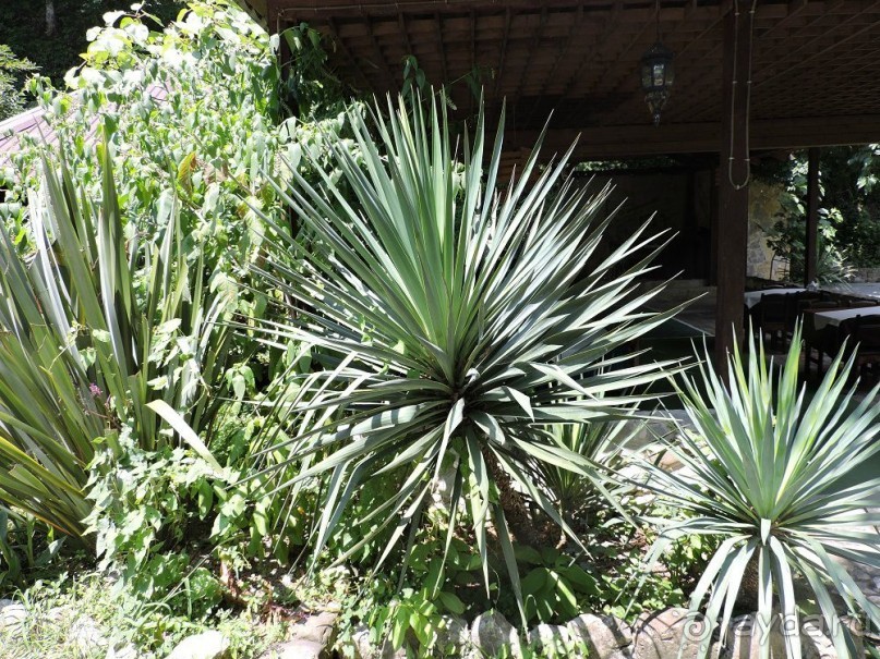 Авто путешествие по Краснодарскому краю. 1 часть общего путешествия.