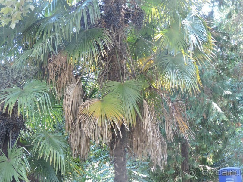 Авто путешествие по Краснодарскому краю. 1 часть общего путешествия.