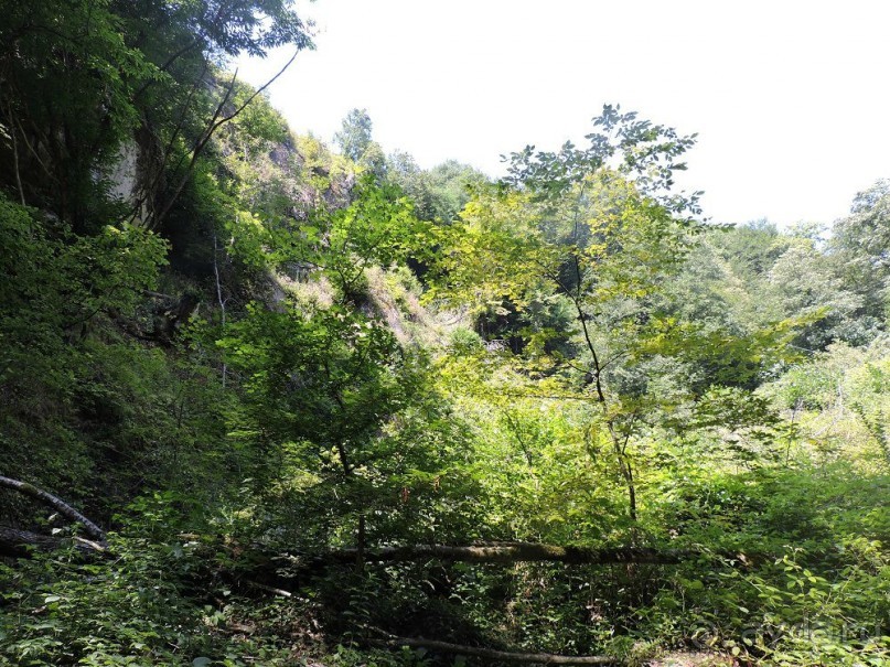 Авто путешествие по Краснодарскому краю. 1 часть общего путешествия.