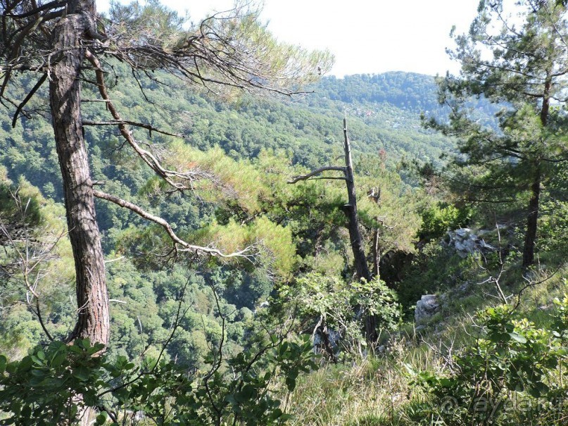 Авто путешествие по Краснодарскому краю. 1 часть общего путешествия.