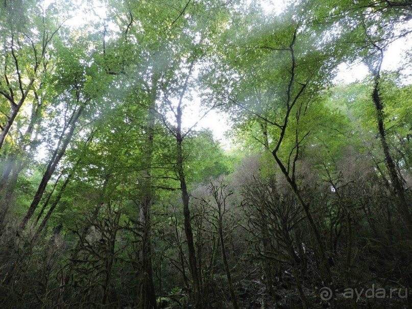 Авто путешествие по Краснодарскому краю. 1 часть общего путешествия.