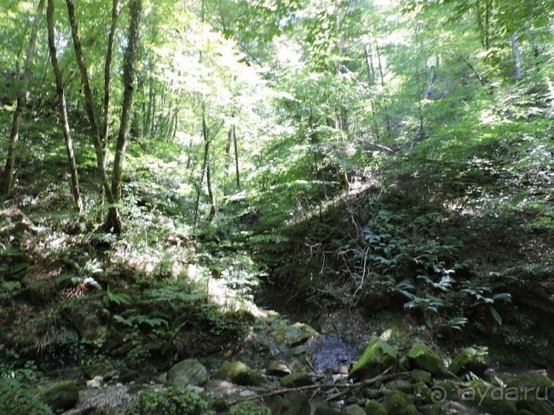 Авто путешествие по Краснодарскому краю. 1 часть общего путешествия.