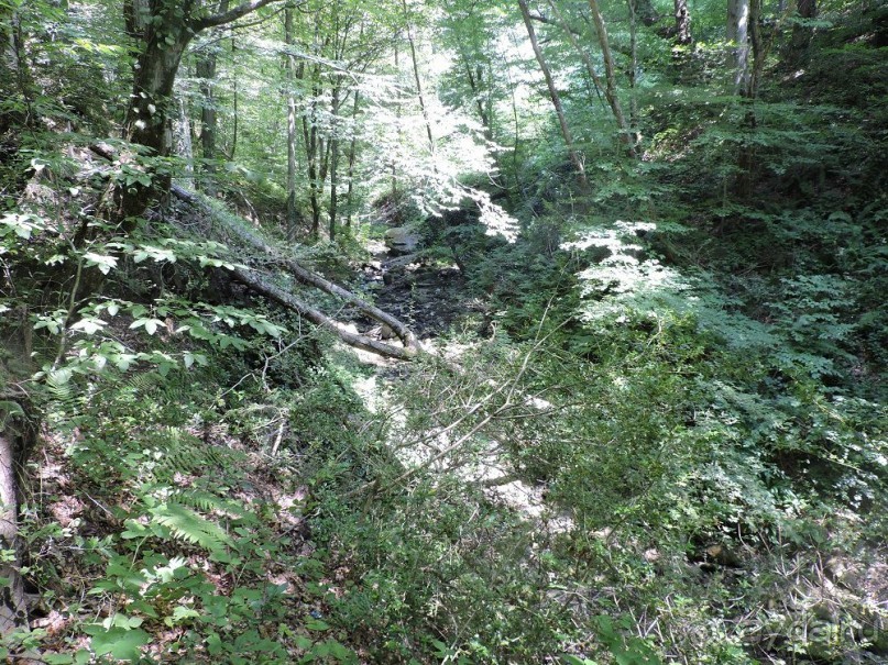 Авто путешествие по Краснодарскому краю. 1 часть общего путешествия.