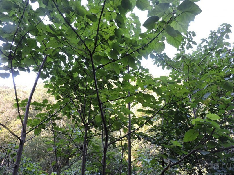 Авто путешествие по Краснодарскому краю. 1 часть общего путешествия.