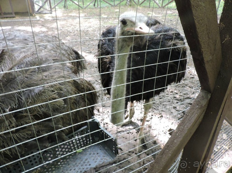 Авто путешествие по Краснодарскому краю. 1 часть общего путешествия.