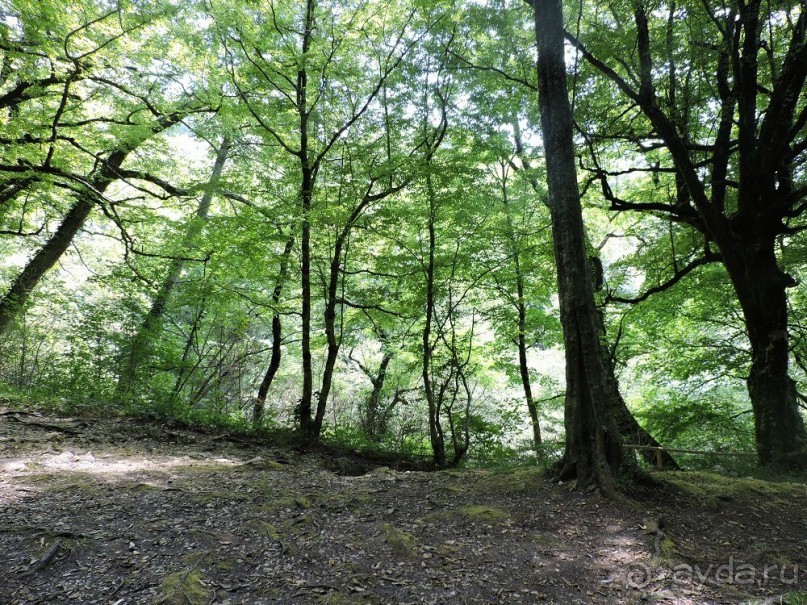 Авто путешествие по Краснодарскому краю. 1 часть общего путешествия.