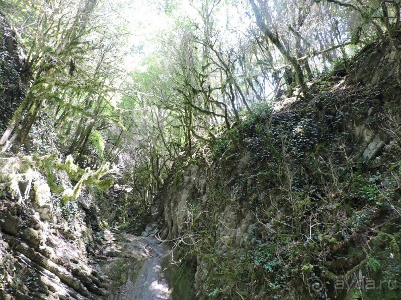 Авто путешествие по Краснодарскому краю. 1 часть общего путешествия.