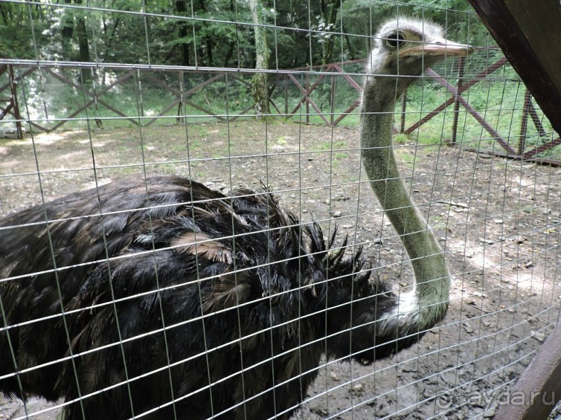 Авто путешествие по Краснодарскому краю. 1 часть общего путешествия.
