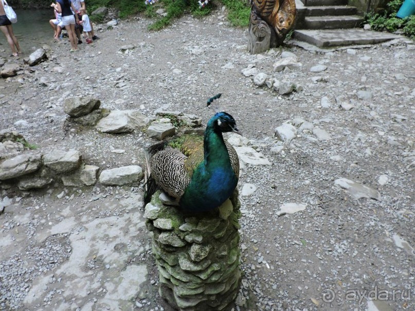 Авто путешествие по Краснодарскому краю. 1 часть общего путешествия.