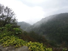 Авто путешествие по Грузии. 4 часть общего путешествия.