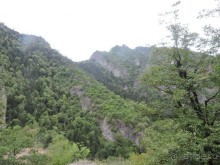 Альбом отзыва "Авто путешествие по Грузии. 4 часть общего путешествия."