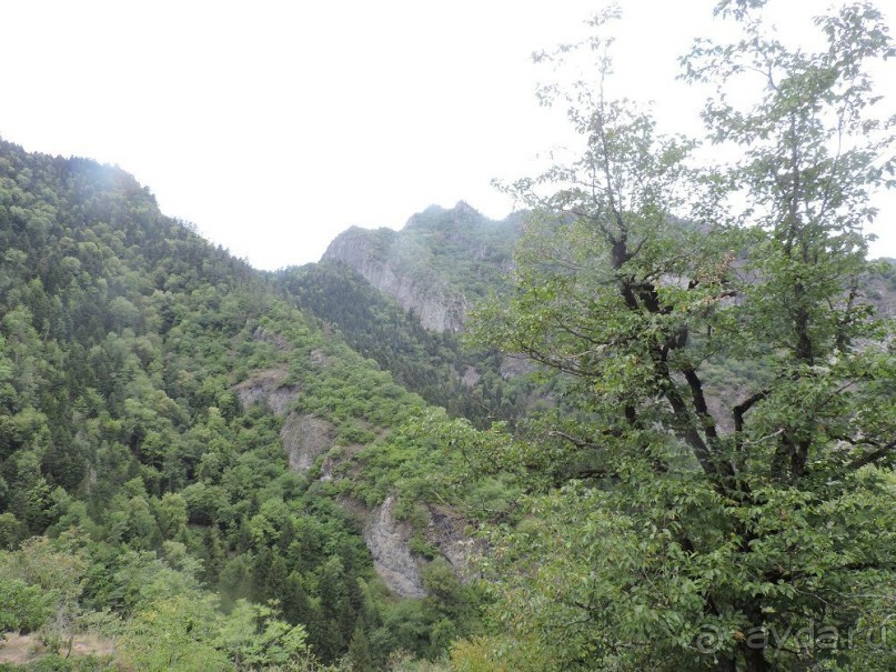 Альбом отзыва "Авто путешествие по Грузии. 4 часть общего путешествия."