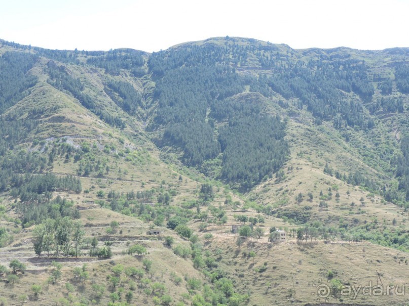 Авто путешествие по Грузии. 4 часть общего путешествия.