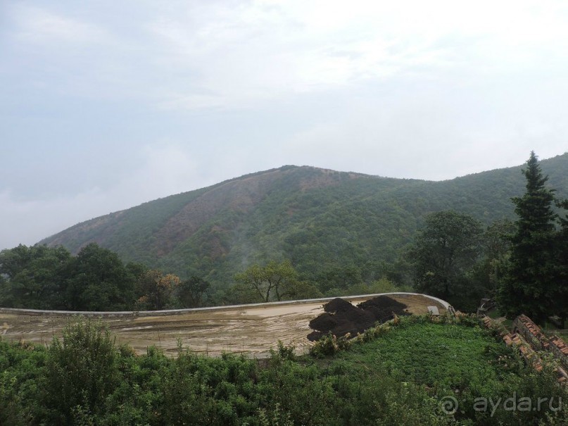 Авто путешествие по Грузии. 4 часть общего путешествия.