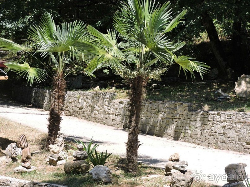 Авто путешествие по Абхазии. 2 часть общего путешествия.