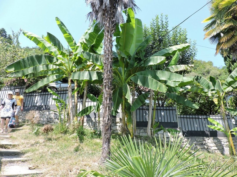 Авто путешествие по Абхазии. 2 часть общего путешествия.