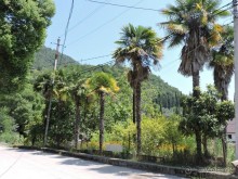 Авто путешествие по Абхазии. 2 часть общего путешествия.