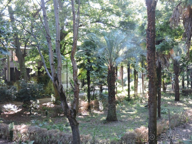 Авто путешествие по Абхазии. 2 часть общего путешествия.